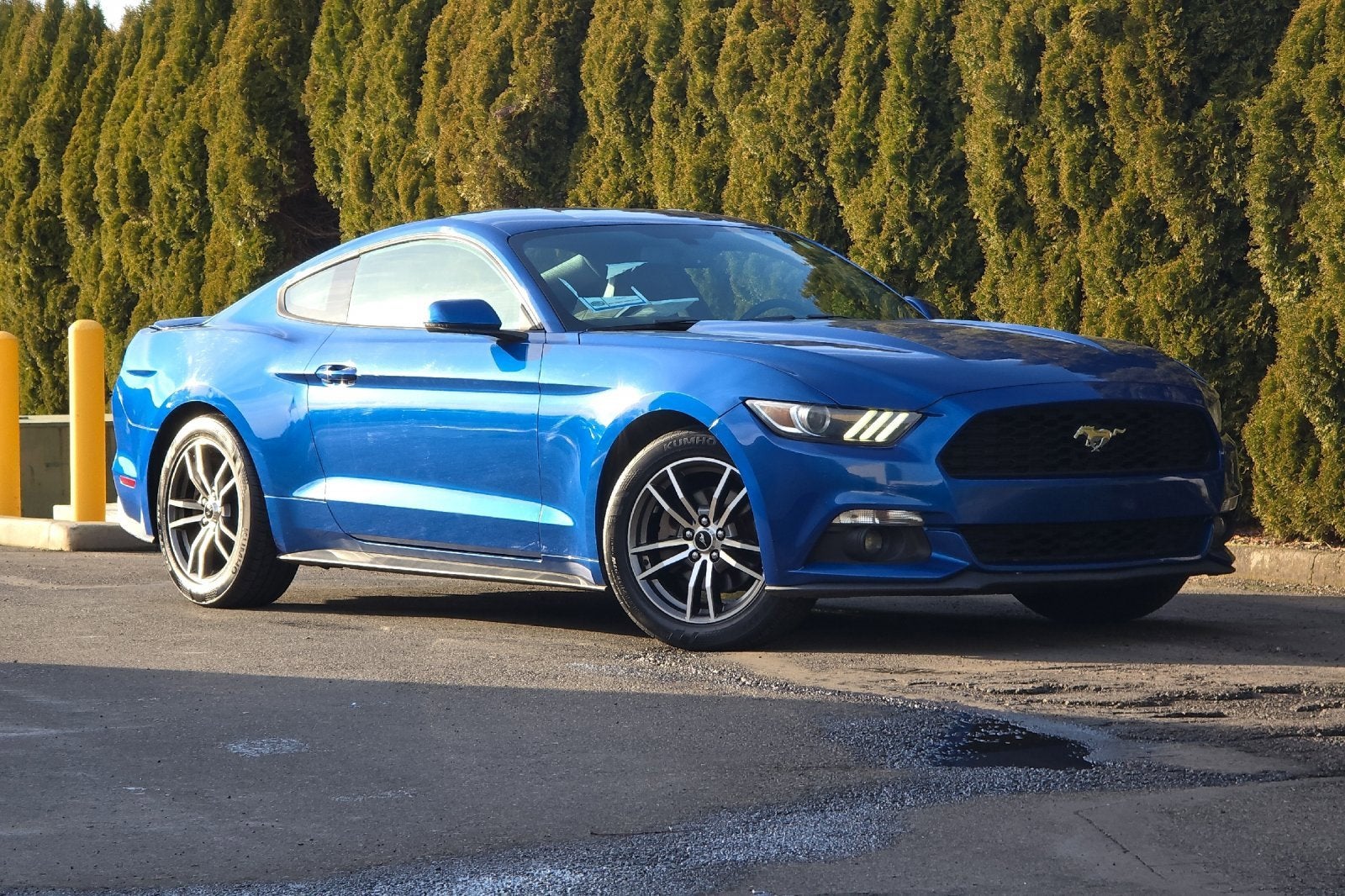 2017 Ford Mustang EcoBoost