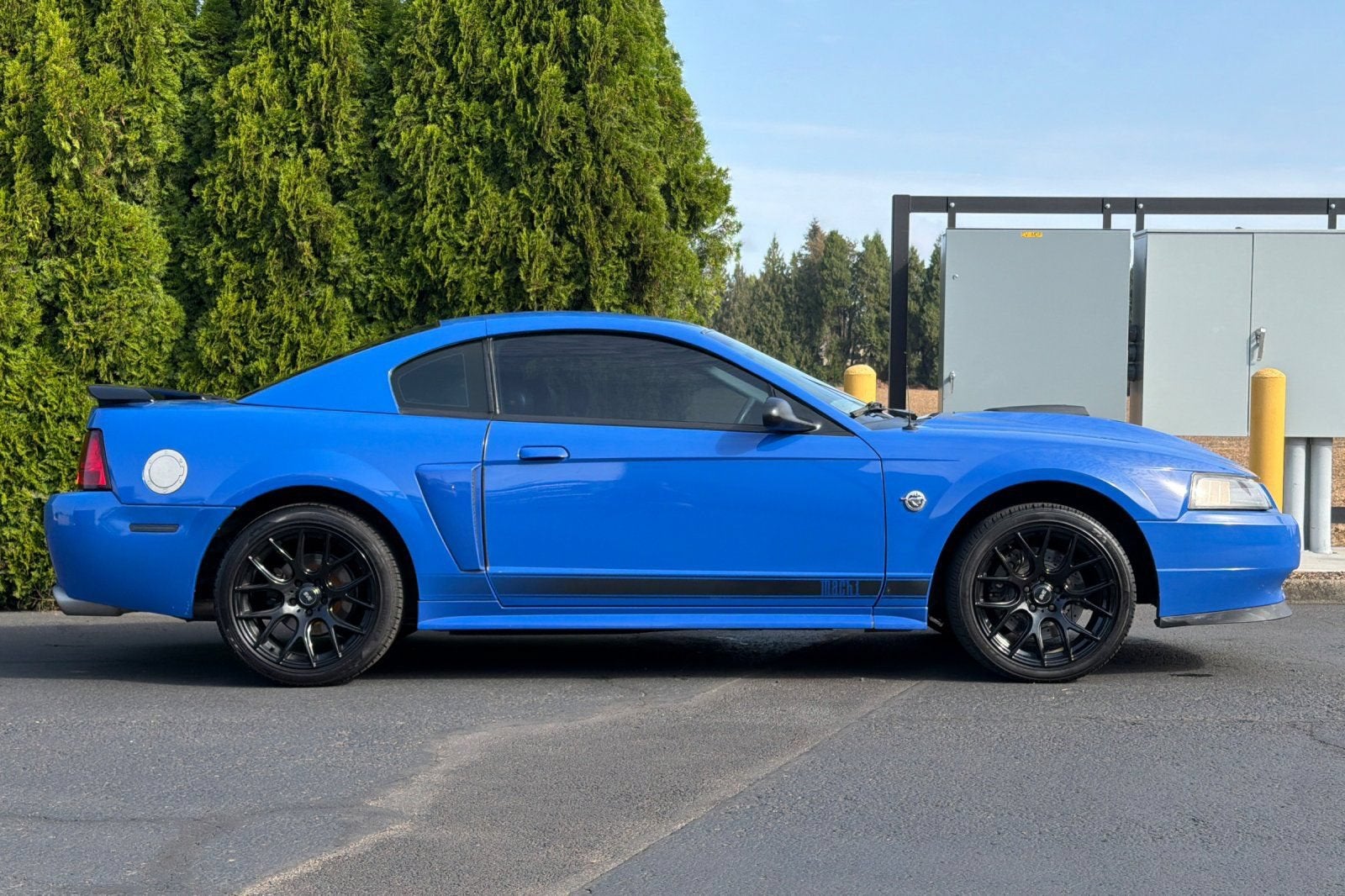 2004 Ford Mustang Premium Mach 1
