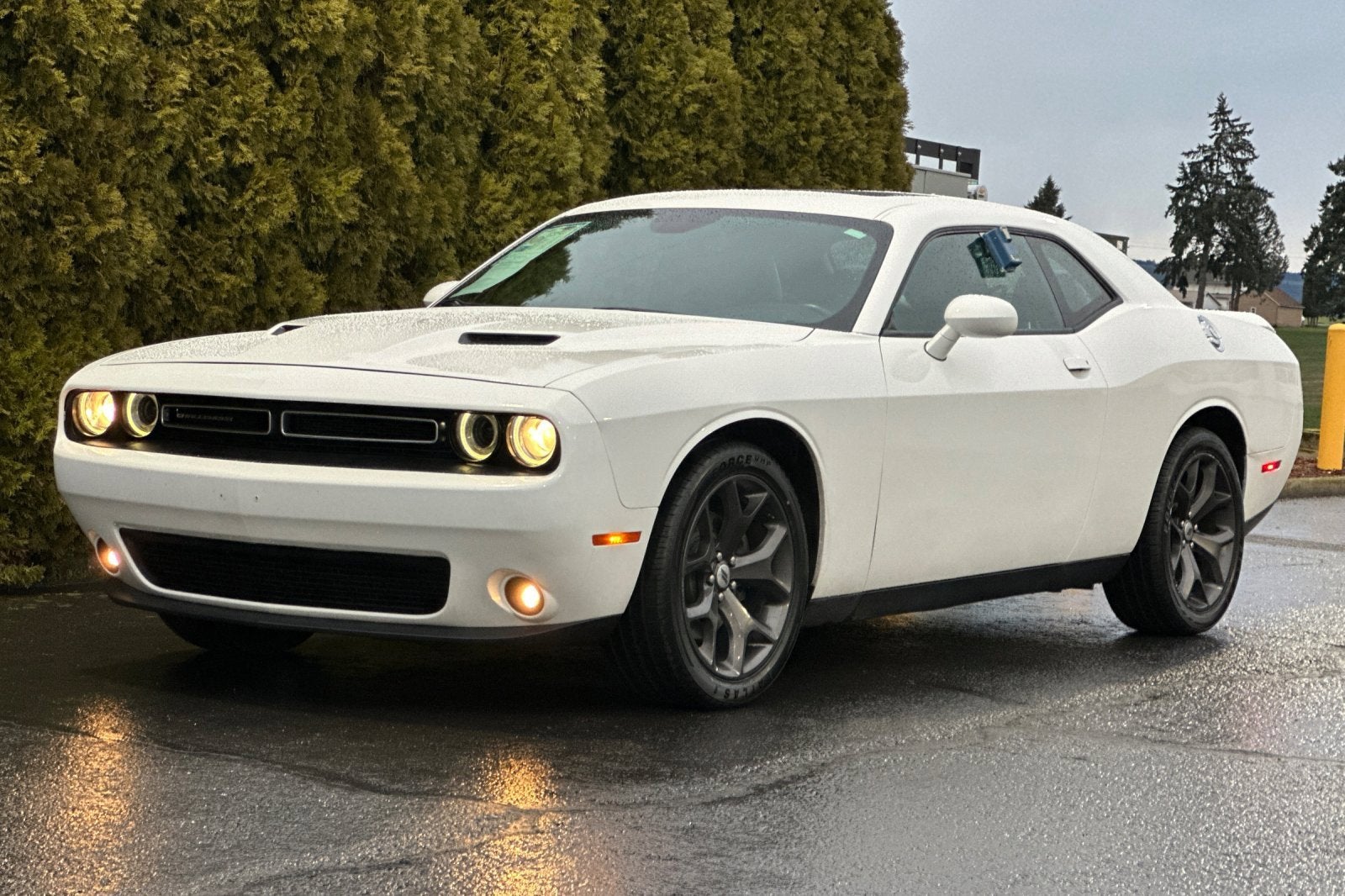 2017 Dodge Challenger SXT Plus
