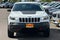2019 Jeep Cherokee Trailhawk Elite