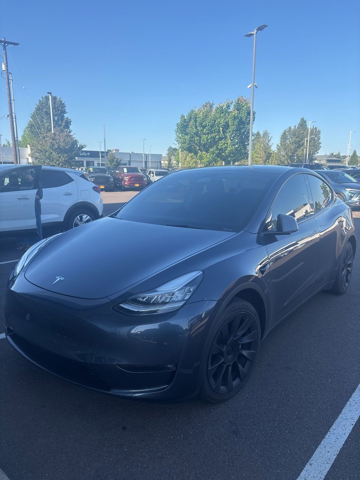 2023 Tesla Model Y Long Range Dual Motor All-Wheel Drive's photo