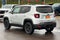 2019 Jeep Renegade Altitude