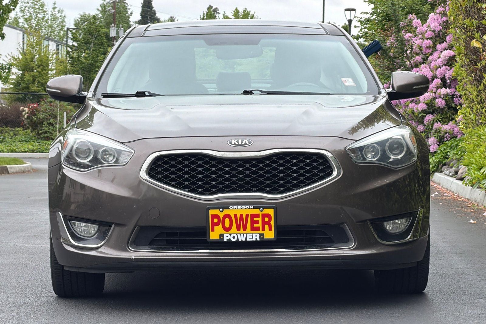 2015 Kia Cadenza Premium